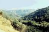The village of Meskla, Kydonia
