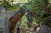 The Hellenistic bridge in Eleftherna