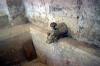 A faucet of the fountain, Handras