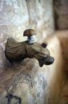 A faucet of the fountain, Handras