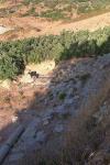 Ancient remains in Lyttos
