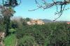Ai Yannis Kyr-Yannis Church in the orange groves of Alikianos, Kydonia