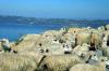 Souda Bay