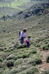Towards the Eteocretan settlement of Karfi
