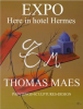 Exhibition by Thomas Maes