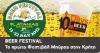 Beer Festival in Crete